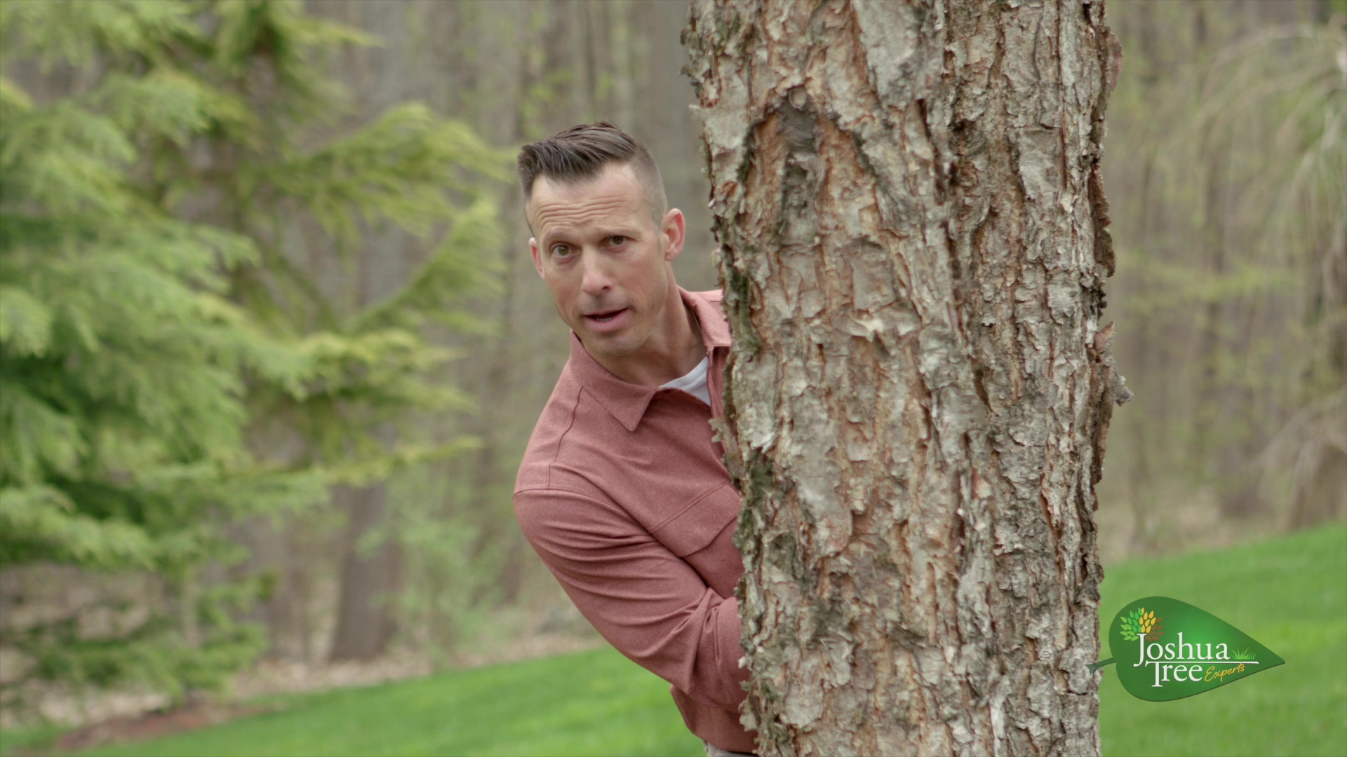 Lawn Care & Tree Care Videos Joshua Tree Experts